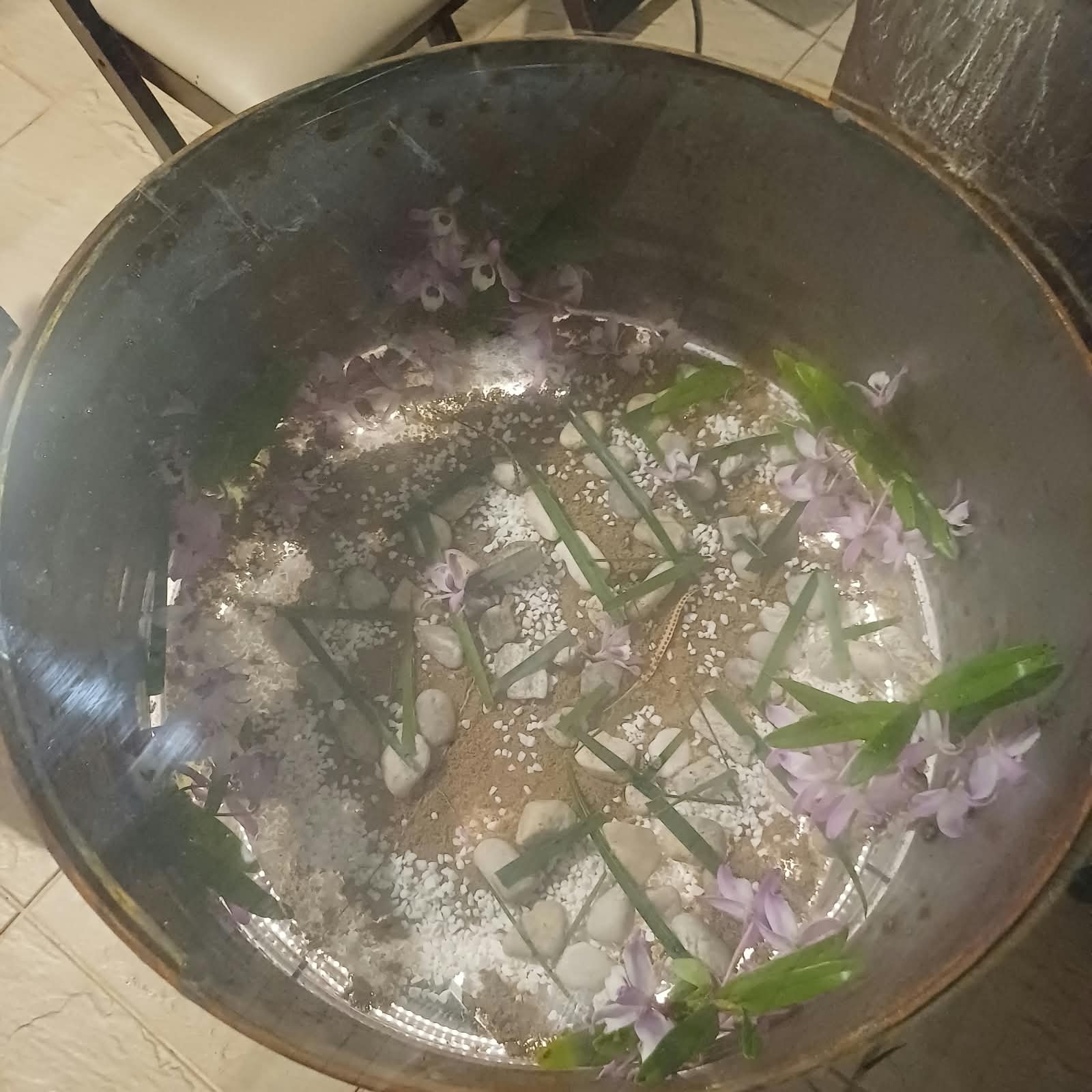 Trecho da mesa mostrando o caminho de pedras, areia e flores que conduz à cena seguinte